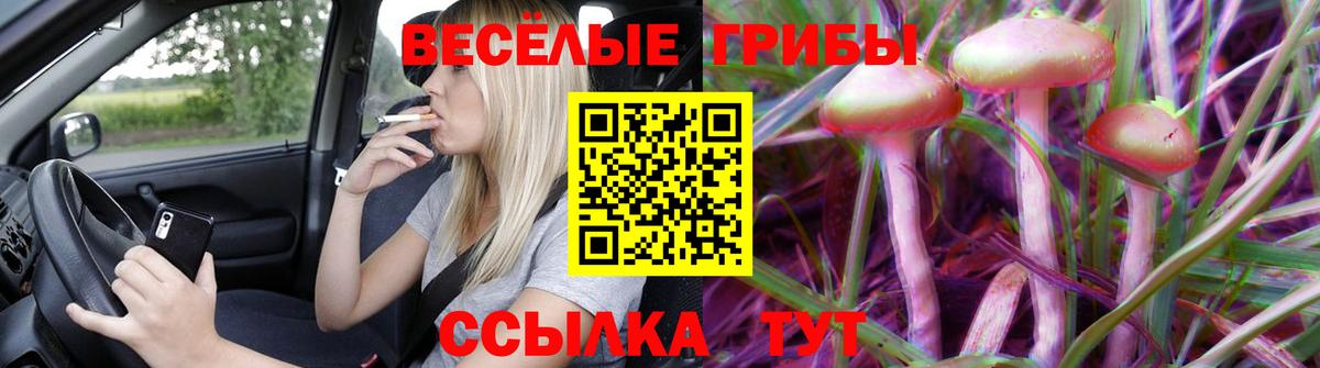 Псилоцибиновые грибы Psilocybe Орёл